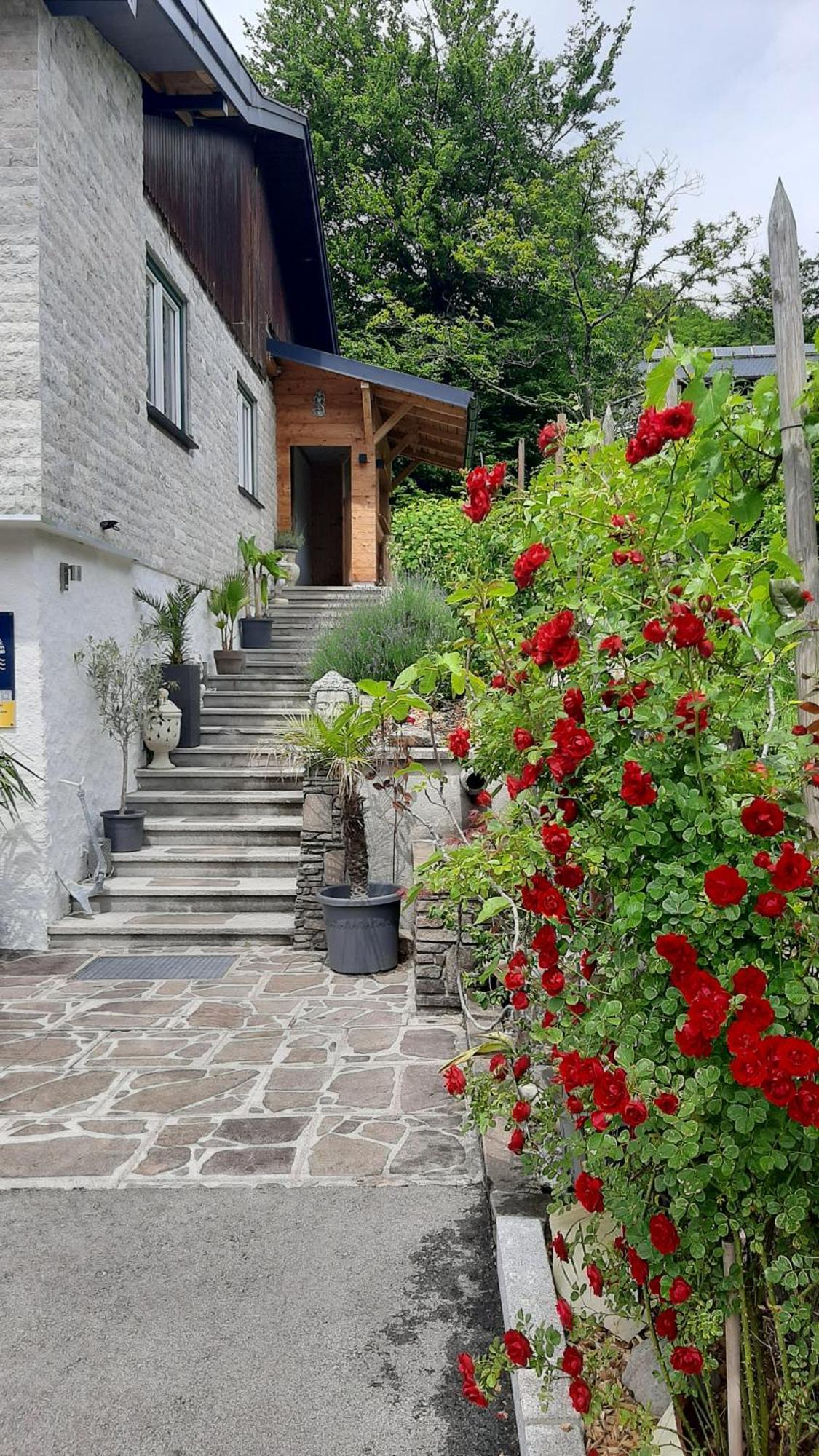 Ferienhaus Goldener Anker Унтерах ам Атерзее Екстериор снимка